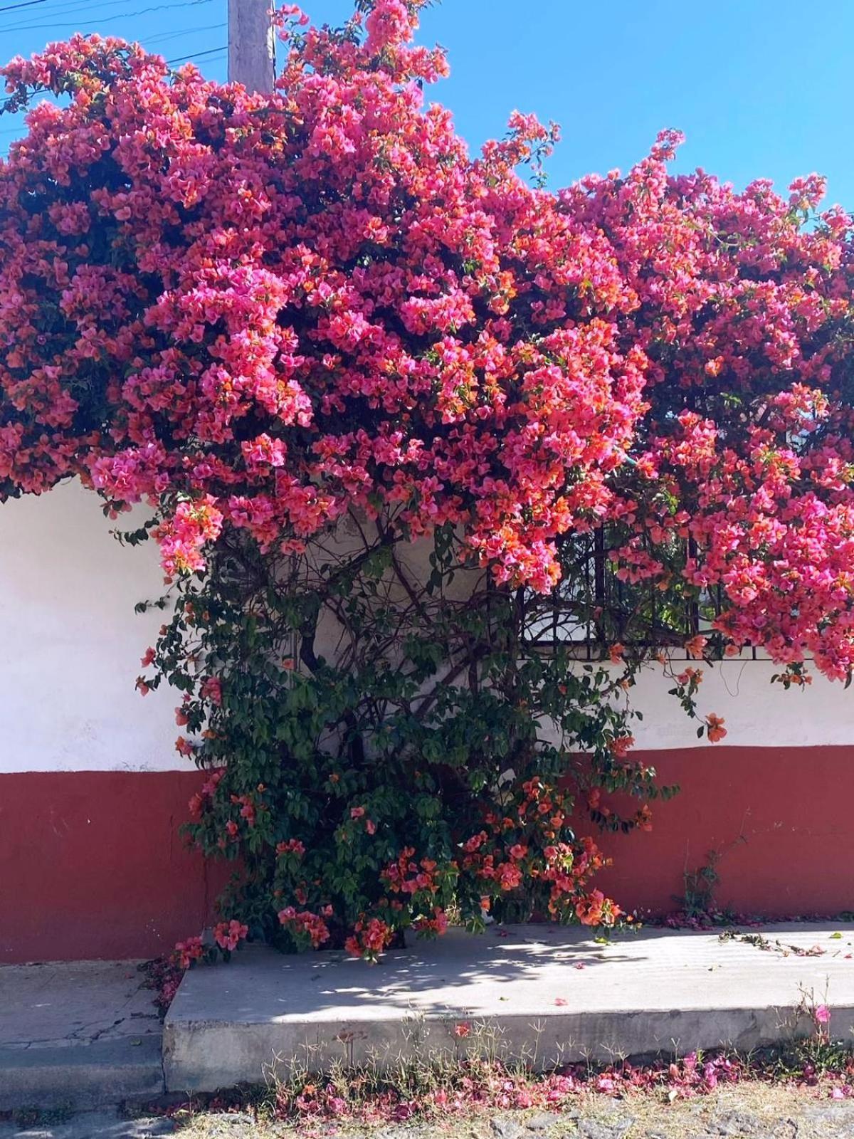 Hotel Posada Camelinas Pátzcuaro Екстериор снимка